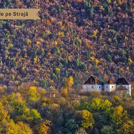 One66 - Luxury Μπρασόβ