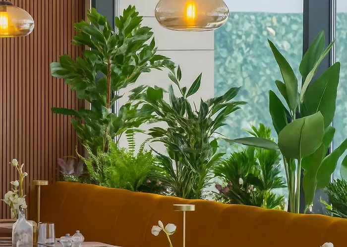 One66 - Luxury 3* Brasov